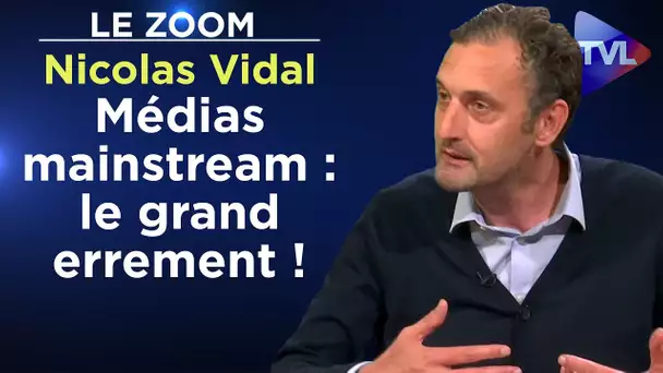 Médias mainstream : le grand errement ! - Le Zoom - Nicolas Vidal - TVL