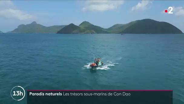 Paradis naturels : Les trésors sous-marins de Con Dao