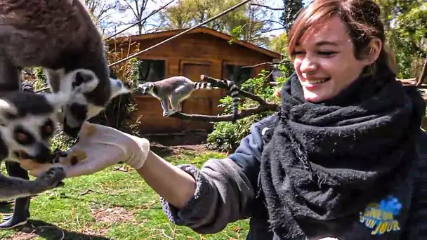 Zoo de Beauval : les nouveaux paris du plus grand zoo de France