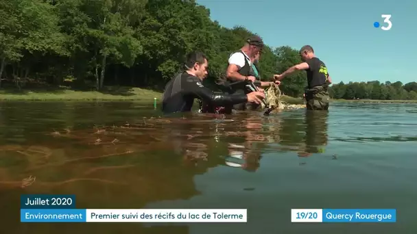 Lot : la faune aquatique du lac du Tolerme sous haute surveillance