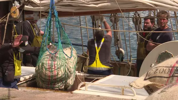 Le Havre : le retour des cargos à voiles ?