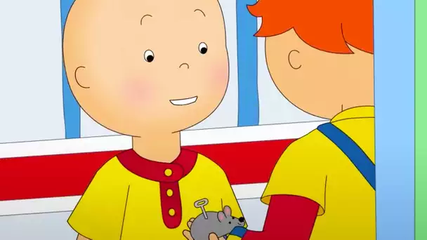 Les Farces de Caillou | Caillou en Français