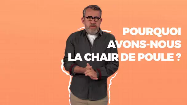 Pourquoi avons-nous la chair de poule 🐓 ?- #LaMinuteJamy