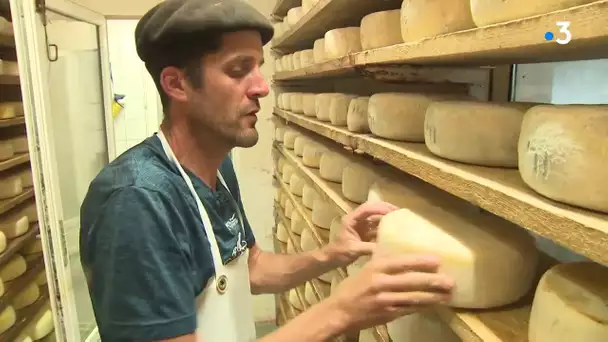 Comment les producteurs de fromages des Pyrénées ont “contourné” le confinement