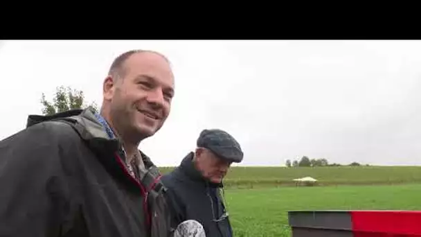 Premières vendanges à Terramesnil dans la Somme