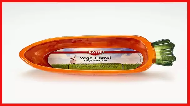 Kaytee Vege-T-Bowl, Carrot, 22-Ounces