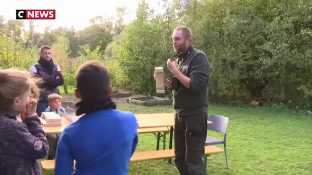 Hauts-de-France : des abris pour nourrir les oiseaux de passage