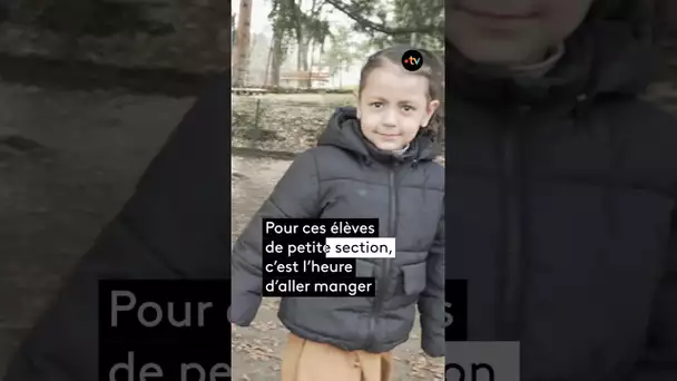 Vélo-bus : la solution maligne pour aller à la cantine 🚲