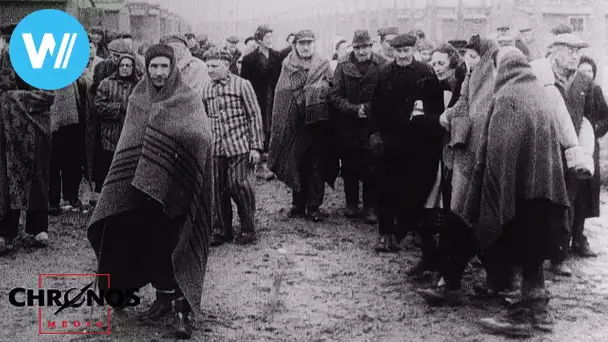 The Liberation of Auschwitz (including 1945 Red Army footage)