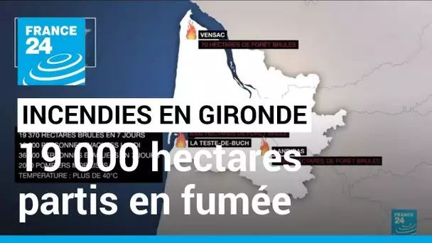 Incendies en Gironde : 19 000 hectares en cendres en une semaine • FRANCE 24