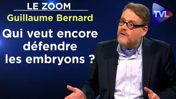 Avortement : dialogue entre une mère et son enfant à naître - Le Zoom - Guillaume Bernard - TVL