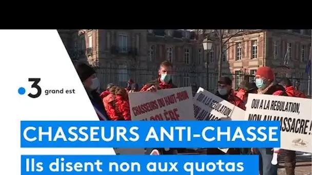 Haut-Rhin : les chasseurs ne veulent plus chasser cerfs et daim, juste pour atteindre les quotas