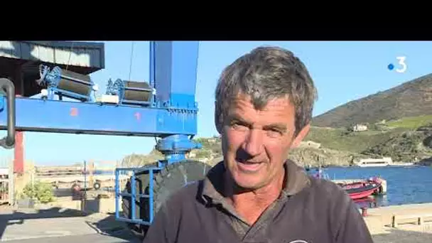 Roussillon : les professionnels de la mer en colère contre le portique de carénage de Port-Vendres