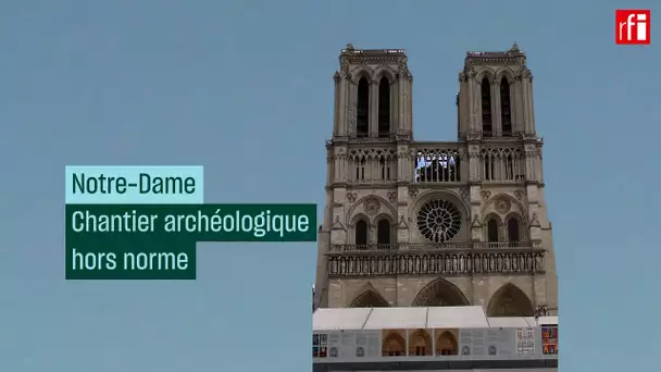 Notre-Dame de Paris, un chantier hors norme