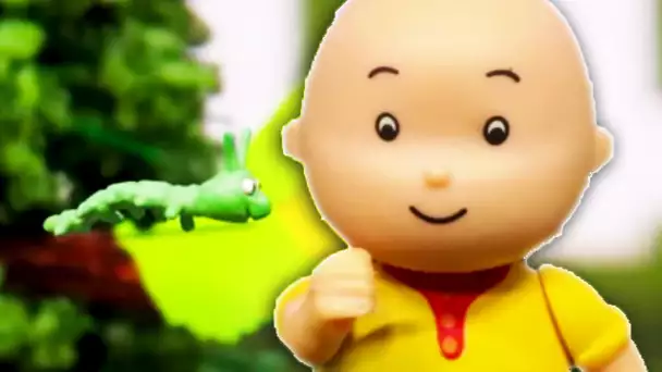 Caillou et les Insectes | Caillou en Français