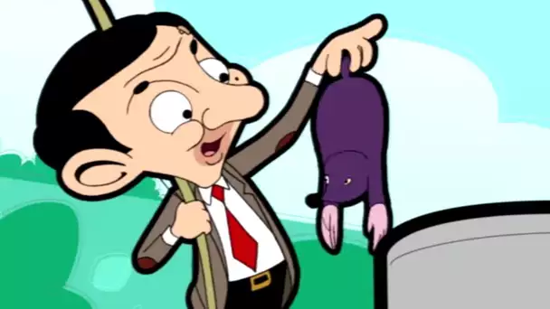 Mr Bean | La taupe | Cartoon | Mr Bean Français | Dessin Animé | Wildbrain