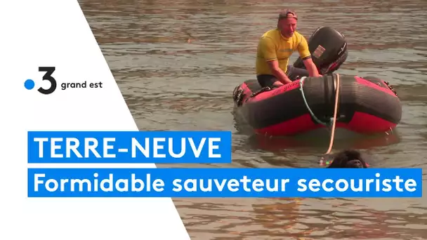 Haut-Rhin : des chiens de race Terre-neuve et leurs maîtres formés au sauvetage aquatique