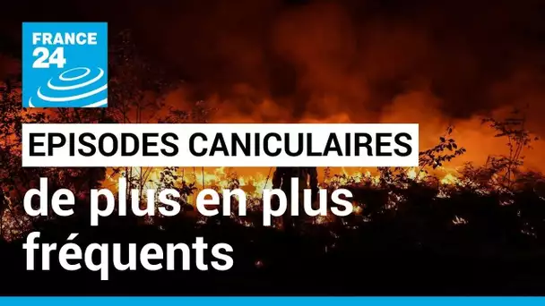France : les épisodes caniculaires et les incendies vont devenir de plus en plus fréquents