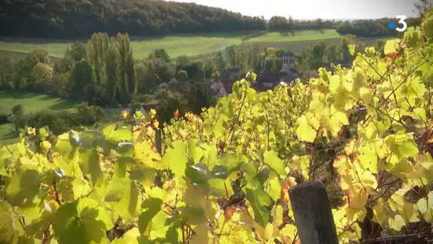 Rendez-vous chez vous à Chaumont-le-Bois