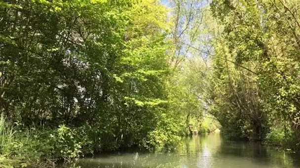 Les marais de Bourges, un paradis fragile