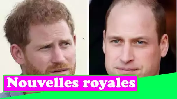 Le prince Harry et le prince William « ont fait preuve d'une énorme affection » malgré les allégatio