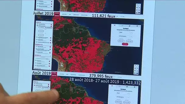 Montpellier : des scientifiques alertent sur les conséquences de la déforestation en Amazonie