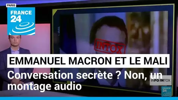 Une vidéo assure révéler une conversation secrète d'Emmanuel Macron sur le Mali • FRANCE 24