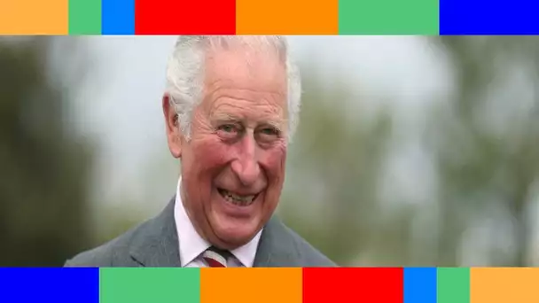 👑  Le prince Charles évite une fâcheuse question sur Harry en public