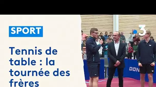 Tennis de table. Alexis et Félix Lebrun font le show face aux Loups d'Angers