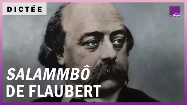 La Dictée géante : "Salammbô" de Gustave Flaubert