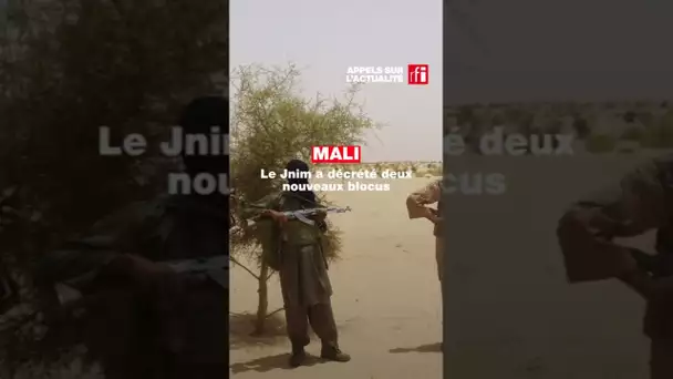 Mali : le Jnim a décrété deux nouveaux blocus dans l'est du pays • RFI