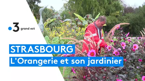 L'Orangerie à Strasbourg, paradis d'un jardinier