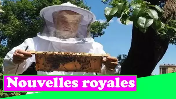 Les abeilles de la reine Elizabeth produisent suffisamment de miel pour que le domaine royal soit