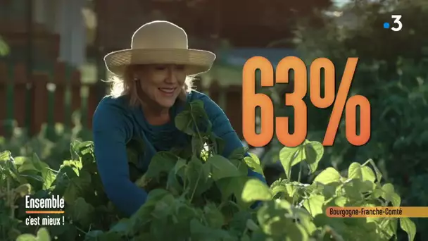 Comment bien s’occuper de ses plantes en hiver ?