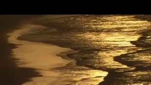 Sénégal : fin de journée sur une plage de Dakar.