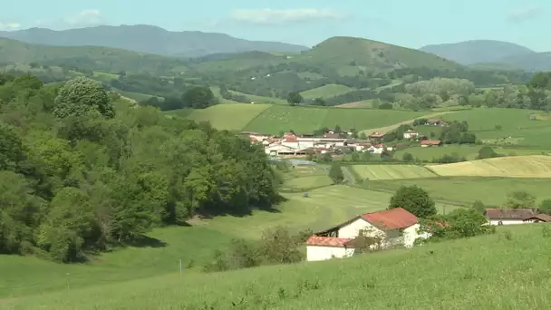 Pays basque : des agriculteurs victimes de la sécheresse, mais écartés des aides