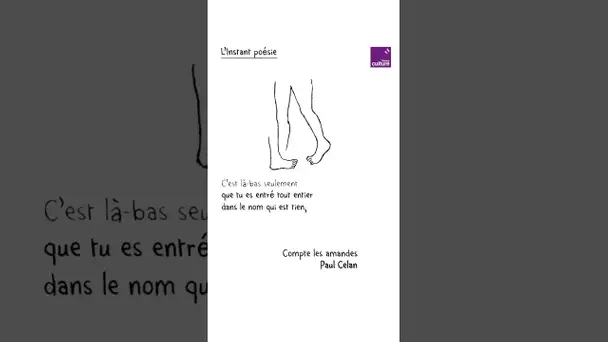 Plongez dans cette lecture du poème “Compte les amandes” de Paul Celan