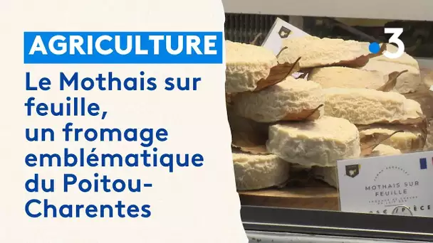 Le Mothais sur feuille, un fromage emblématique du Poitou-Charentes