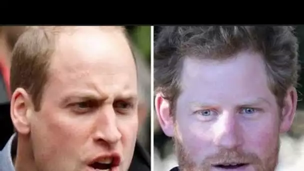 Le prince William « dégoûté » par l'énorme héritage du prince Harry qui laisse un « mauvais goût »
