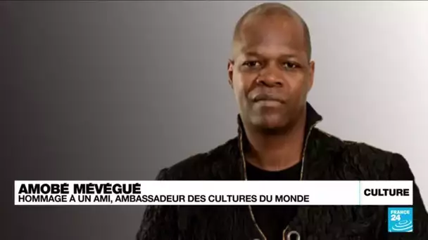 Youssou N'Dour, Stomy Bugsy, Aïssa Maïga...rendent hommage à Amobé Mévégué • FRANCE 24