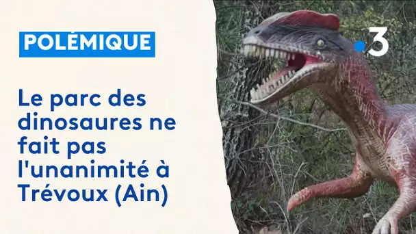 Le parc des dinosaures ne fait pas l'unanimité à Trévoux (Ain)