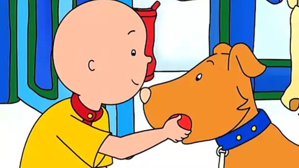 Caillou et le Chien | Caillou en Français