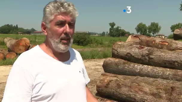 Hautes-Pyrénées : pénurie de bois et hausse des prix, un cocktail préoccupant