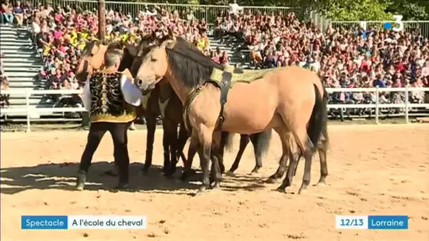 Biennale équestre à Thillombois avec participation des élèves du pôle équestre de Belleray