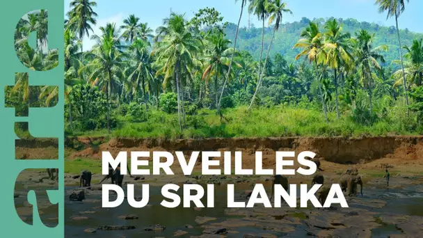 Yala, un éden au Sri Lanka | Merveilles de la nature (1/2) | ARTE Family