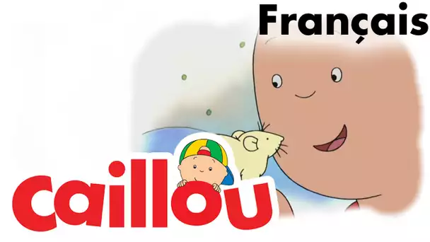Caillou FRANÇAIS - Caillou joue au baseball (S02E11) | conte pour enfant | Caillou en Français