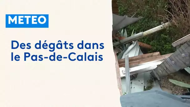 Tempête Pierrick : des dégâts à Lestrem