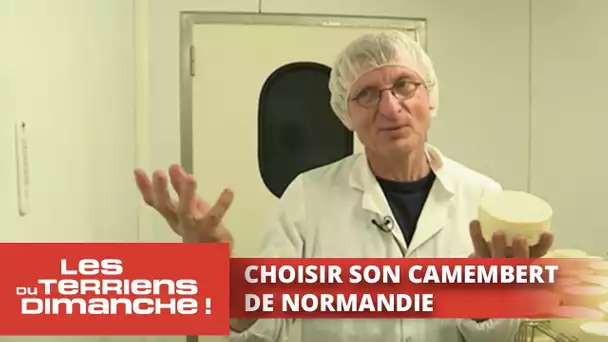 Choisir un vrai camembert de Normandie - Les Terriens du dimanche