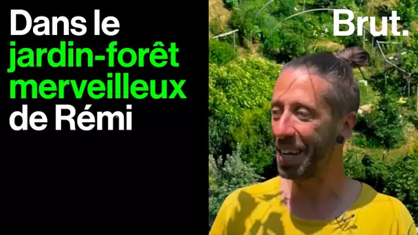 Il a créé un "jardin-forêt" quasi autonome. Visite de @LeJardindEmerveille