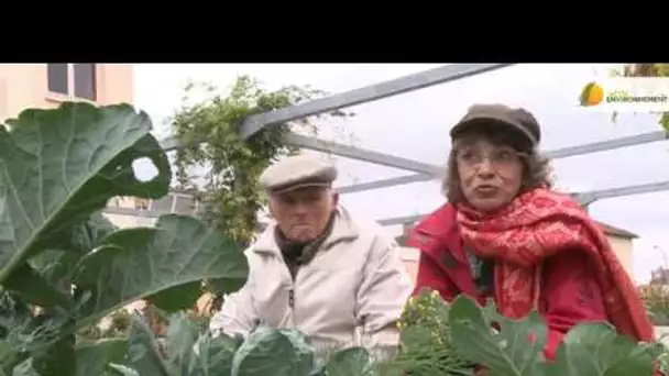 Quel avenir pour une agriculture locale et biologique en France ?